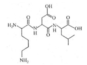 Albumin là một loại protein quan trọng trong huyết tương, giúp duy trì áp suất (ảnh 1)