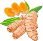 Củ nghệ - 7.437 nghệ thuật vector v&agrave; vector c&oacute; sẵn | Shutterstock