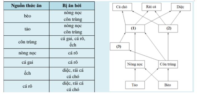 Cục Tài nguyên Thiên nhiên Wales sử dụng cấu trúc lưới thức ăn và số lượng (ảnh 1)
