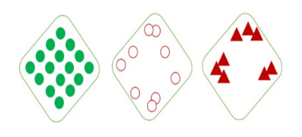 Hình dưới mô tả ba kiểu phân bố cá thể của quần thể trong môi trường thuộc ba loài giả định trong (ảnh 1)