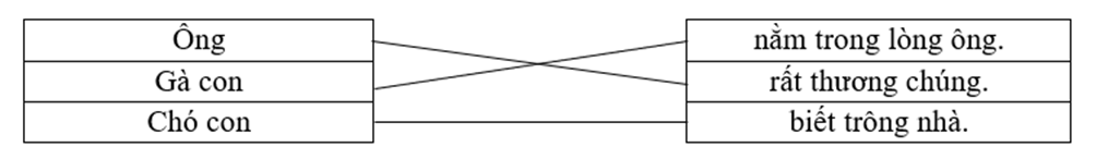 Ghép đúng: Ông 		nằm trong lòng ông. Gà con		rất thương chúng. Chó con		biết trông nhà. (ảnh 1)