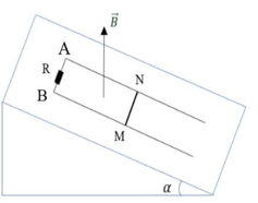 Trên mặt phẳng nghiêng góc 30 độ so với mặt ngang, có hai dây dẫn thẳng, song song, (ảnh 1)