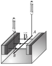 Một đọan dây dẫn AB có khối lượng m = 0,020kg (ảnh 1)