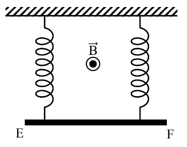 Một đoạn dây dẫn thẳng EF , đồng chất, tiết diện đều, có chiều dài 10 cm (ảnh 1)