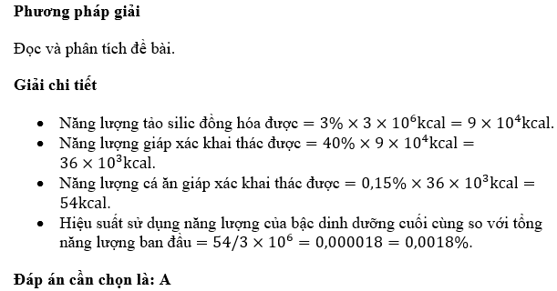 Ở một vùng biển, năng lượng bức xạ chiếu xuồng mặt nước đạt 3. 106 Kcal/m2/ngày. Tảo X chỉ đồng hóa được 3% tổng năng lượng đó. Giáp xác trong hồ khai thác dược 40% năng lượng tích lũy trong (ảnh 1)