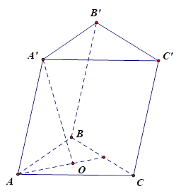 Cho lăng trụ ABC.A'B'C' có đáy ABC là tam giác đều cạnh a. Hình chiếu vuông góc của điểm A' lên mặt phẳng (ABC) trùng với tâm O của đường tròn ngoại tiếp tam giác ABC, biết A'O = a. Tính thể tích V của khối lăng trụ đã cho. (ảnh 1)