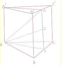 Hãy tính góc giữa 2 vecto A'H; AH (ảnh 1)