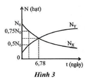 Chất phóng xạ X phân rã theo phương trình (ảnh 1)
