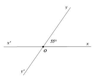 Vẽ g&oacute;c xOy c&oacute; số đo bằng 55 độ . Sau đ&oacute; vẽ tia Ox' l&agrave; tia đối của tia Ox, vẽ tia Oy' l&agrave; tia đối của tia Oy. a) Kể t&ecirc;n tất cả bốn g&oacute;c c&oacute; đỉnh O (kh&ocirc;ng kể g&oacute;c bẹt). Trong c&aacute;c g&oacute;c đ&oacute; g&oacute;c n&agrave;o l&agrave; g&oacute;c nhọn, g&oacute;c n&agrave;o l&agrave; g&oacute;c t&ugrave;? (ảnh 1)