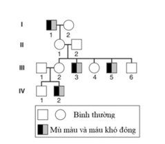 Phả hệ hình bên cho thấy bốn thế hệ của một gia đình được M. Madlener mô tả vào năm 1928. (ảnh 1)