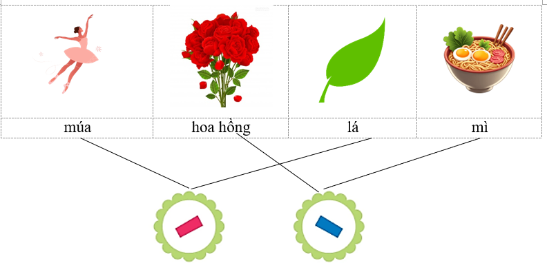 Hãy nối dấu thanh thích hợp với từ chứa tiếng có dấu tương ứng sau. múa hoa hồng lá mì (ảnh 1)