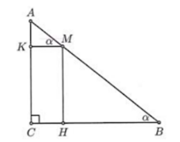 Một chiếc thang được dựng lên sao cho một đầu của thang chạm mặt đất và đầu còn lại (ảnh 1)