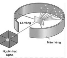 Năm 1911, Rutherford tiến hành thí nghiệm bắn các hạt \(\alpha \) vào một lá vàng rất mỏng (sơ đồ như hình bên). (ảnh 1)