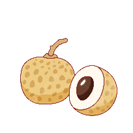 Hình ảnh Phim Hoạt Hình Vẽ Tay Quả Nhãn Nhãn Vẽ Minh Họa Cho Yếu Tố Trang Trí Vector PNG , Long Nhãn, Nhãn, Thịt PNG và Vector với nền trong suốt