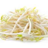 Tauge / Bean Sprouts / 豆芽 500G – 810 Freshmart