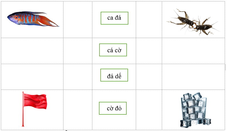 Nối chữ với hình tương ứng. ca đá cá cờ đá dế cờ đỏ (ảnh 1)