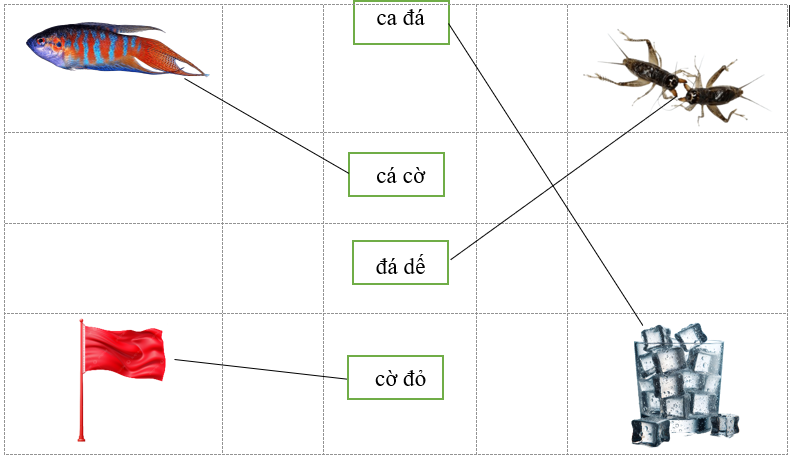 Nối chữ với hình tương ứng. ca đá cá cờ đá dế cờ đỏ (ảnh 2)