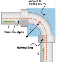 Một nhóm nghiên cứu đang điều tra các đồng vị phóng xạ có thời gian sống ngắn. (ảnh 1)