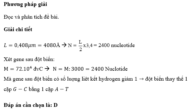 Một gen có chiều dài 0,408 micrômet, gen đột biến biến tạo thành alen mới có khối lượng phân tử là 72.10^4 đvC và giảm 1 liên kết hydro. Dạng đột biến gen nào đã xảy ra ? (ảnh 1)