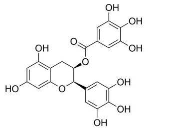 Epigallocatechin gallate (hay EGCG) là một trong những chất polyphenol (gọi chung là tanin) có trong thực vật có vị chát như lá trà, ổi, sồi,... EGCG có cấu tạo như hình sau: (ảnh 1)