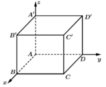 Biểu diễn đúng của vector A'C (ảnh 1)