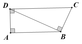 Cho hình thang vuông ABCD, AB // CD (ảnh 1)
