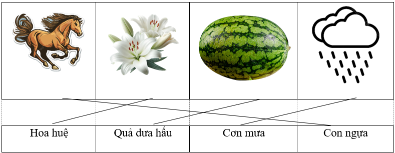 Nối từ với hình thích hợp:   	 	 	  			 Hoa huệ 	Quả dưa hấu 	Cơn mưa	Con ngựa  (ảnh 1)