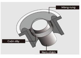 Micro điện động là thiết bị được sử dụng để thu âm thanh (ảnh 1)