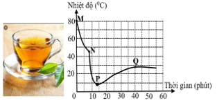 Một học sinh pha một cốc trà nóng. Sau một lúc, học sinh này thêm một số viên đá vào trà. Học sinh sử dụng cảm biến nhiệt độ để đo nhiệt độ của trà. Hình dưới đây cho thấy biểu đồ nhiệt độ - thời gian thu được. (ảnh 1)