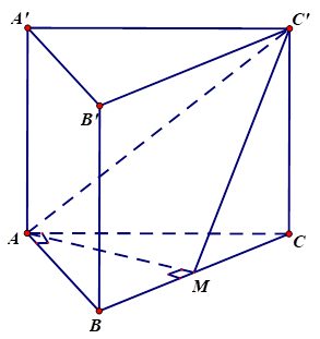 Cho lăng trụ đứng ABC.A'B'C' có đáy là tam giác ABC vuông cân tại A. Gọi M là trung điểm của BC, mệnh đề nào sau đây sai ? (ảnh 1)