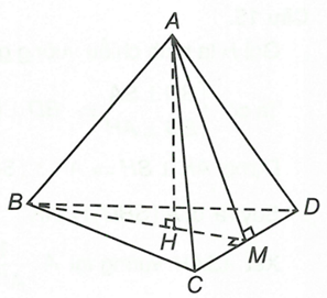 Cho tứ diện đều ABCD có cạnh bằng a. Khoảng cách từ A đến mặt phẳng (BCD) bằng (ảnh 1)