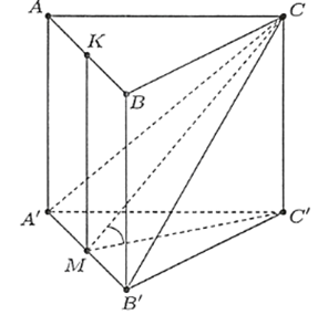 Cho hình lăng trụ tam giác đều ABC.A'B'C' có cạnh đáy bằng 2a và cạnh bên bằng 3a. Khi đó: (ảnh 1)
