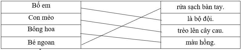 Nối: Bố em rửa sạch bàn tay. Con mèo là bộ đội. Bông hoa trèo lên cây cau. Bé ngoan màu hồng. (ảnh 1)