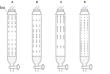 Một chiếc loa phát ra âm thanh có tần số cố định được giữ ở phía trên đỉnh của một ống buret chứa đầy nước. (ảnh 1)
