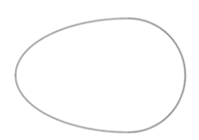 Chia quả trứng thành hai phần bằng nhau theo chiều dọc, ta thu được thiết diện như hình sau:    (ảnh 1)