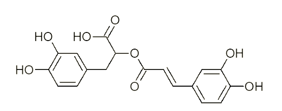 Rosmarinic acid thường có trong các loại cây thảo mộc như hương thảo, xô thơm, cỏ xạ (ảnh 1)