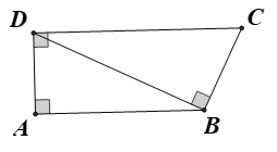 Cho hình thang vuông ABCD, AB // CD (ảnh 1)
