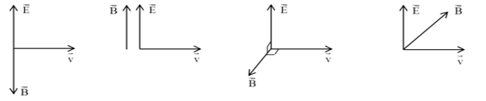 Trong các hình sau, hình nào diễn tả đúng phương và chiều của cường độ điện trường (ảnh 1)