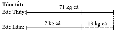Thuyền bác Thủy đánh bắt được 71 kg cá. Thuyền bác Lâm đánh bắt được ít hơn thuyền bác Thủy 13 kg. Hỏi thuyền bác Lâm đánh bắt được bao nhiêu ki–lô–gam cá?  (ảnh 1)
