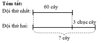 Đội thứ nhất trồng được 60 cây. Đội thứ hai trồng nhiều hơn đội thứ nhất ba chục cây. Hỏi đội thứ hai trồng được bao nhiêu cây? (ảnh 1)