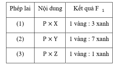 Cho c&acirc;y hoa v&agrave;ng dị hợp tất cả c&aacute;c cặp gene (P) lai với ba d&ograve;ng hoa xanh thuần chủng (X,Y v&agrave; Z) thu được kết quả như sau: (ảnh 1)