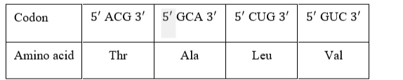 Cho biết các bộ ba trên mRNA mã hóa cho các amino acid tương ứng như sau: (ảnh 1)