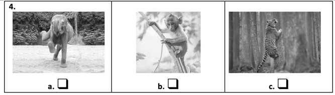 1. Listen and tick. (ảnh 1)