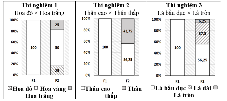 Ở một loài thực vật có hoa, xét ba tính trạng khác nhau: màu sắc hoa, chiều dài thân và hình dạng lá; mỗi tính trạng tuân theo một quy luật di truyền khác nhau và các gene quy định các tính trạng phân li độc lập với nhau.  (ảnh 1)