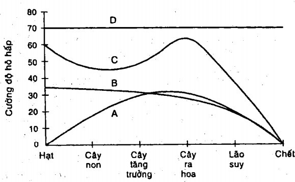 Biểu đồ dưới đây biểu diễn quá trình hô hấp của 1 cây trong điều kiện bình thường. Đường cong thích hợp biểu thị cho các giai đoạn hô hấp trong đời sống của cây là A.	đường D.	B. đường C. C. đường B.	D. đường A (ảnh 1)