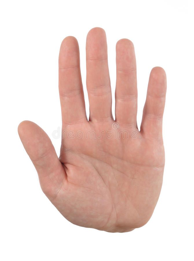 _ and ________________hand (n): bàn tay (ảnh 1)