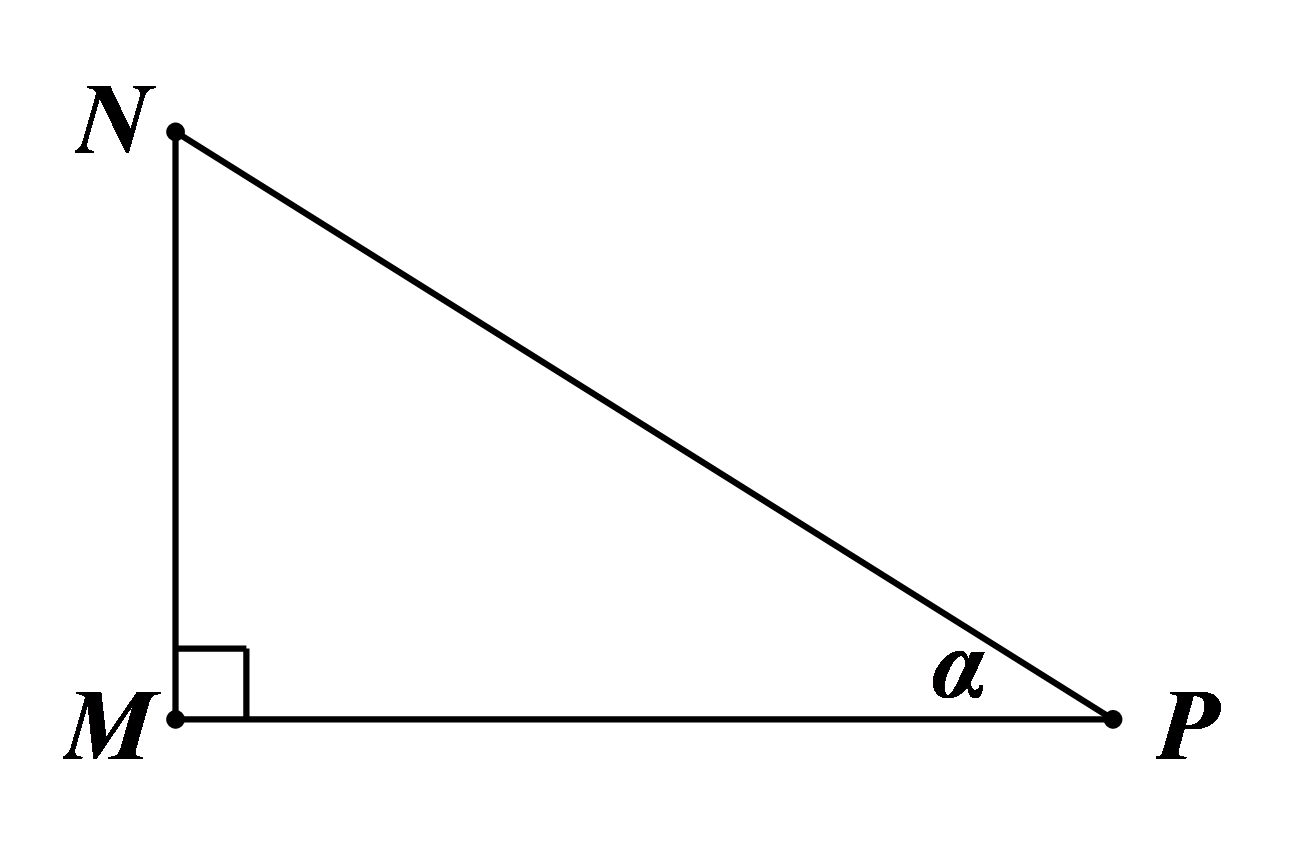 Đáp án đúng là: A (ảnh 1)