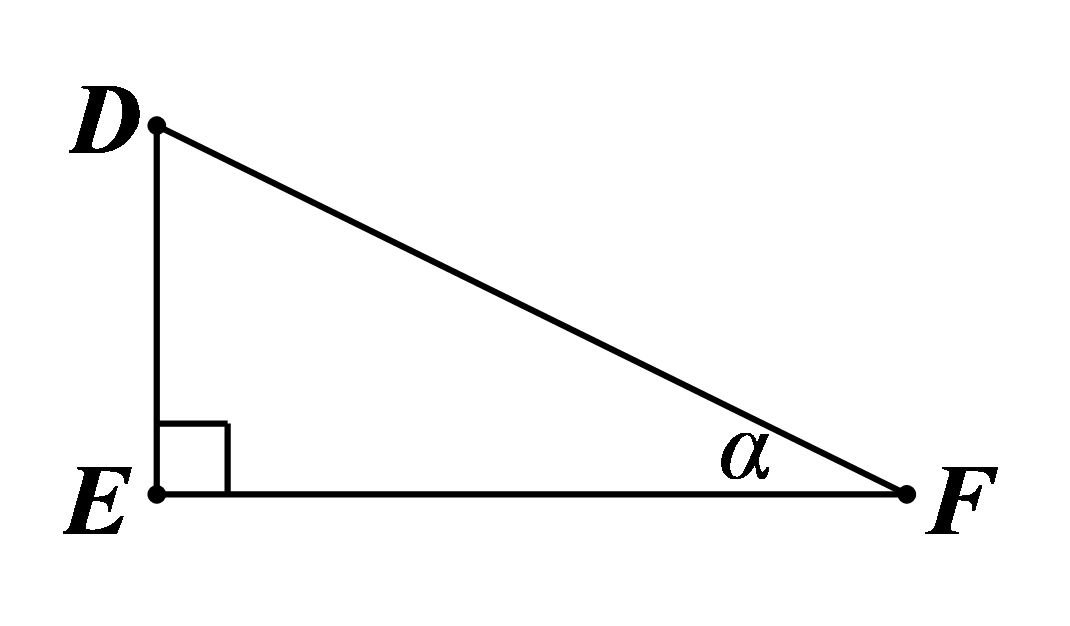 Đáp án đúng là: B (ảnh 1)