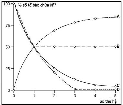 Một nhóm các nhà khoa học thực hiện lại thí nghiệm của Meselson và Stahl (1958) để nghiên cứu mô hình nhân đôi của DNA. Họ đã nuôi vi khuẩn E. coli trong môi trường chỉ có nitơ đồng vị nặng (15N),  (ảnh 1)