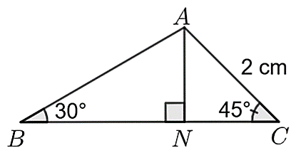 Đ&aacute;p &aacute;n đ&uacute;ng l&agrave;: D (ảnh 1)